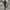 WW | Moderne vegane Lederhose mit