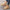W&W - Stilvolle Stiefeletten mit Zipper und Plateau