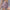 WW | Hoch Taillierte Sommer Sport Shorts Für Damen