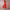 WW | Zeitloses Swingkleid Im Stil Der 60er