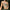 WW | Besticktes Y2k Schmetterling Crop Top