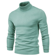 WW | Herren Rollkragenpullover aus hochwertigem Material