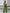 WW | Sommer Overall Jumpsuit Frauen