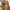 WW | Bikini mit Blumenmuster