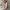 WW | Entspannter Und Zeitloser Overall-Pullover
