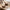 WW | Pipe Plush Handtasche - Eine bequeme und winterliche Damenhandtasche