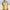 WW | Tankini Satz