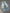 WW | Amerikanische Gewaschene Retro Jeans Für Männer