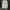 Winter Lederjacke mit Pelz
