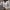 WW | Bluse Damen Spitze Langarm Bluse