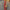 WW | Vibrant Gestreiftes Maxikleid mit Taillenbetonung
