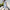 WW - Elegantes besticktes Sommerkleid