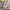 WW – Damen-Slipper aus Leder mit quadratischer Zehenpartie: Designer-Flats mit Metallverzierung, Outdoor-Flip-Flops, Gummisohle