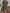 WW | Loose Fit Kurze Ärmel Rüschenkleid Kurzes Kleid