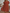 WW | Loose Fit Kurze Ärmel Rüschenkleid Kurzes Kleid