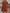 WW | Loose Fit Kurze Ärmel Rüschenkleid Kurzes Kleid