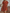 WW | Loose Fit Kurze Ärmel Rüschenkleid Kurzes Kleid