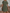WW | Loose Fit Kurze Ärmel Rüschenkleid Kurzes Kleid