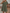 WW | Loose Fit Kurze Ärmel Rüschenkleid Kurzes Kleid