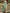 WW | Blumendruck Puffärmel Sommerkleid Maxikleid