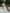WW | Blumendruck Puffärmel Sommerkleid Maxikleid
