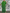 WW | Maxi Kleid Mit Weitem Rundhalsausschnitt