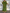 WW | Maxi Kleid Mit Weitem Rundhalsausschnitt