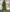 WW | Maxi Kleid Mit Weitem Rundhalsausschnitt