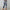 WW - Sommerhose mit elastischer Taille und Druckmuster