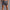 WW | Herren Baumwoll Kurze Hose