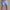 WW | Herren Baumwoll Kurze Hose