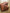 WW - Damen Schultertasche aus veganem Leder