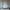 WW | Midi-Kleid Elegant Blau