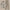 WW | 2 Teiliges Damen Sommer Set