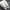 WW | Premium Leder Sneakers Mit Weißer Sohle