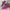 WW | Weiche Sohle Luftpolsterung Damen Turnschuhe Wanderschuhe