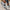 WW | Lace Up Lage Top Damessneakers Wandelschoenen