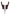 WW | Satin Corsage Top Und Maxirock Satz