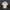 WW | Eiscreme-Shirt