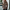 WW – Lässiger, einfarbiger Plüsch-Hoodie mit Tasche und Leopardenmuster