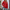 WW | Sweatshirt für Damen