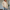 WW | Sweatshirt für Damen
