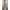 WW | Elegantes Set aus Top und Hose
