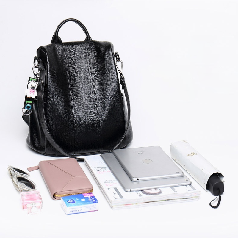 WW | Diebstahl Rucksack Aus Leder