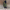 Ärmellose Jacke