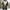 WW - Stylischer ethnischer Knopf-Hoodie-Cardigan für Frauen