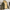 WW | Lässige Herren Winterjacke mit Kapuze und Fleece