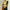 Turtleneck in einer kontrastierenden Farbe