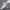 WW | Moderne Leder Herrenschuhe
