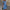 WW | Stilvolles Schickes Kleid